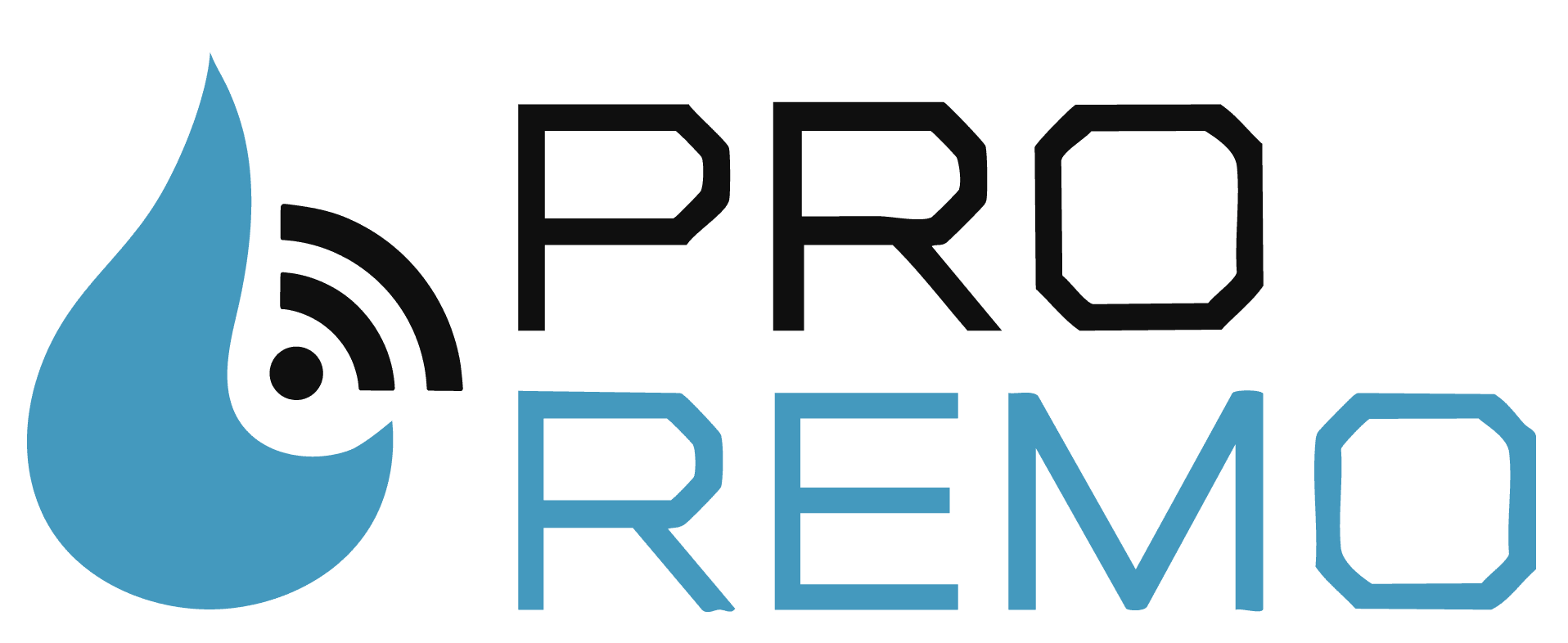 ProRemo